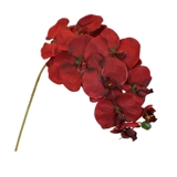 Европейская стиль ретро -симуляция Phalaenopsis осень цвет цветочный цветок