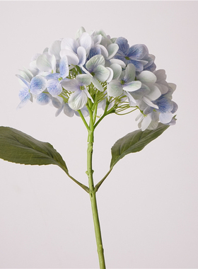 手感打印魔幻珊瑚绣球仿真花束家居装饰插花摄影道具假花婚庆摆件
