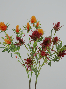 北欧仿真花刺芹单枝花艺