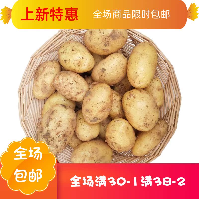 庶州农社旗舰店5斤包邮山东特产农家自种新鲜现挖黄心迷你小土豆蔬菜粉糯3