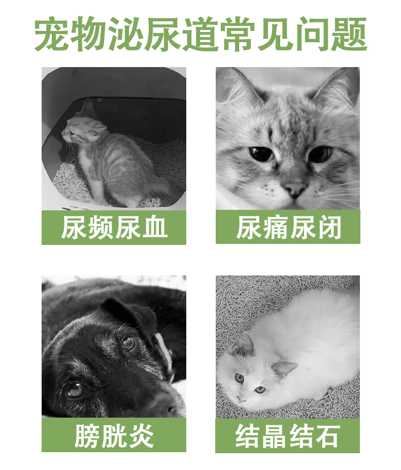 SIROEN利尿通猫宠物猫咪泌尿排尿困难膀胱炎尿血结石尿路感染 - 图0