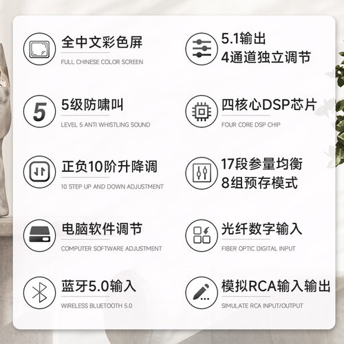 雅桥 DSP-9900 专业K歌效果器蓝牙前级功放音频处理防啸叫混响器 - 图2