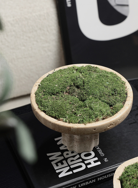 仿真花艺绿植青苔盆栽