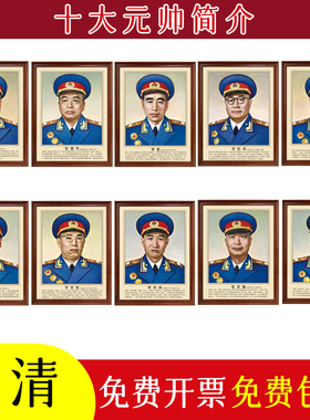 十大元帅简介带框书房党建壁画