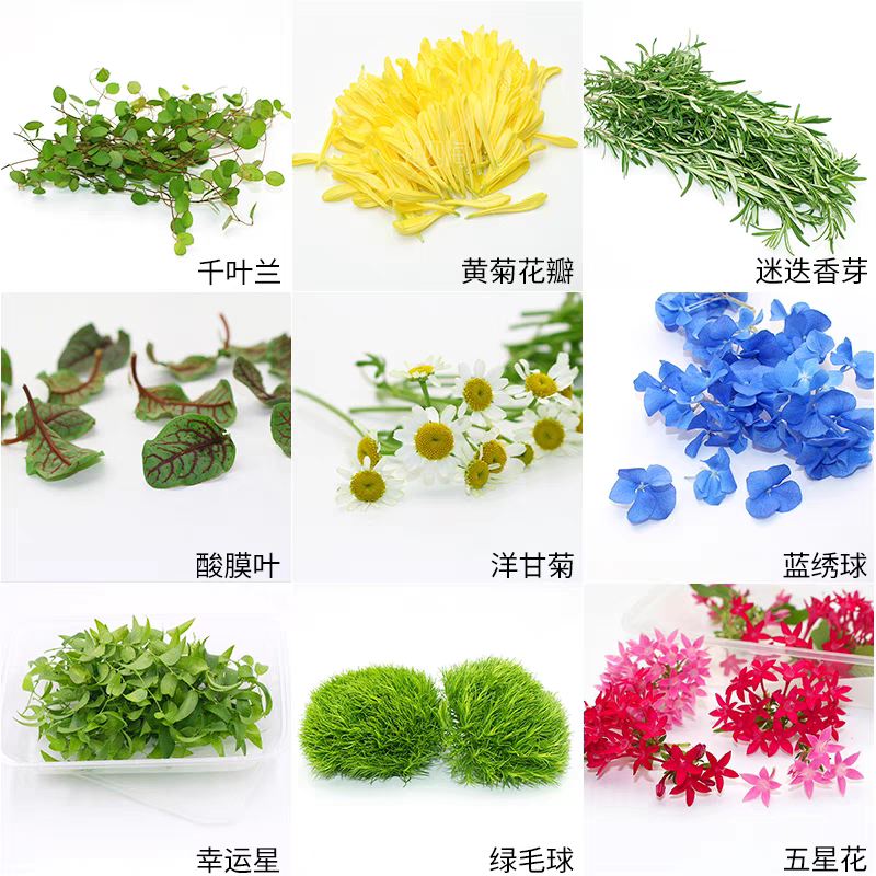 新鲜黄金柳芽香柳三色堇胡椒木迷迭香酒店蛋糕摆盘装饰花草合集,淘宝优惠券,粉丝福利购,淘宝优惠卷