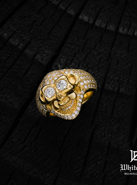 殿堂级银饰骷髅戒指BWL35周年