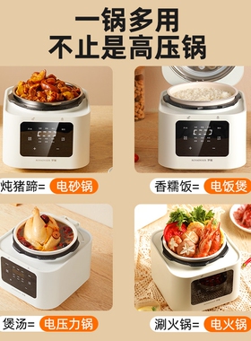 罗娅出口欧洲款电压力锅家用新型