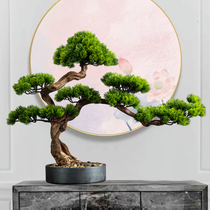 Living Room Solid Wood Emulation Greet Passenger Pine Hotel Desktop Genguan Green Plant Fake Pine pine Pine Bonsai Indoor Pendulum