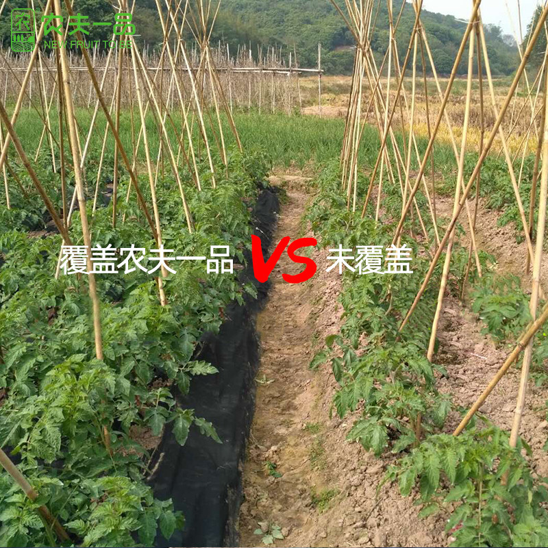 蔬菜园防草布除草布农用透气透水黑色防杂草地布新型生态盖草地膜,淘宝优惠券,粉丝福利购,淘宝优惠卷