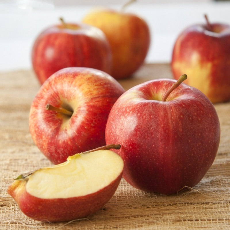 新西兰加力果水果新鲜当季进口红苹果gala嘎啦苹果时令水果脆甜香,淘宝优惠券,粉丝福利购,淘宝优惠卷