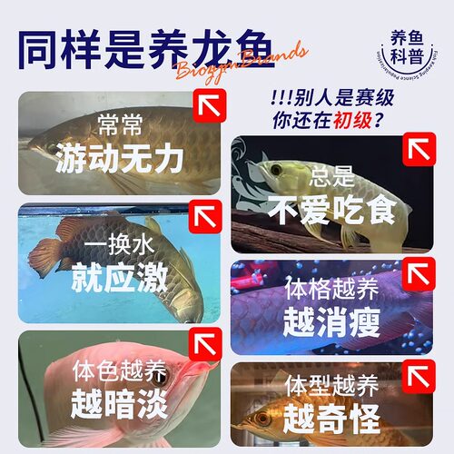 百因美AG龙鱼活力素维他命营养液厌食趴缸生物龙鱼活力配方助发色 - 图3