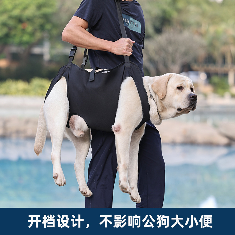 宠物狗狗后腿辅助带老年犬后肢护腰残疾瘫痪背带助行走路康复神器 - 图0