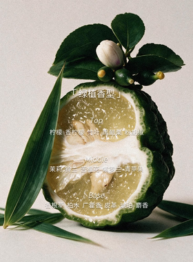 re调香室竹林七贤香水绿植调