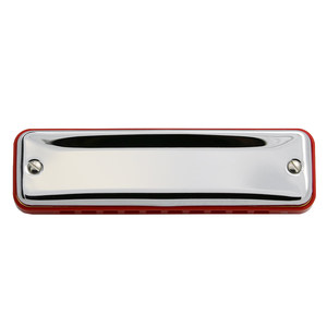 通宝十孔口琴爱尔兰Paddy音阶学生成人10孔蓝调布鲁斯口琴 6610H