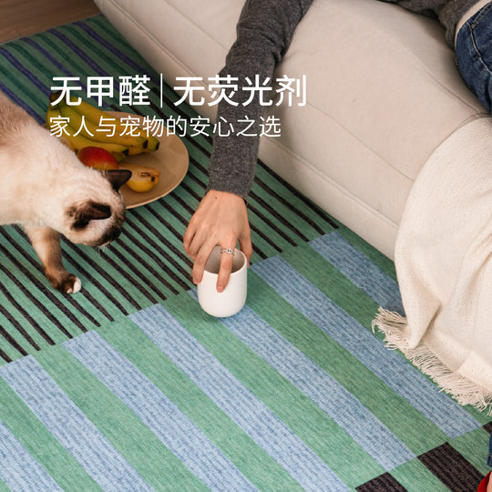 赛波斯绿光曲可拆洗双层地毯沙发中古风轻奢高级感可机洗卧室客厅