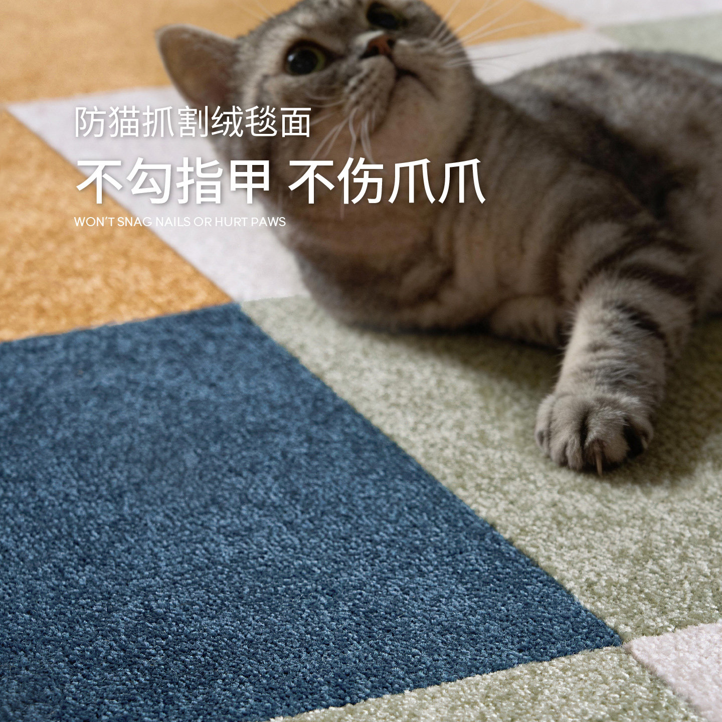 图 3