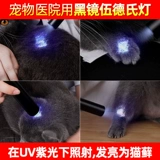 Кошачья кошачья кошачья мохна