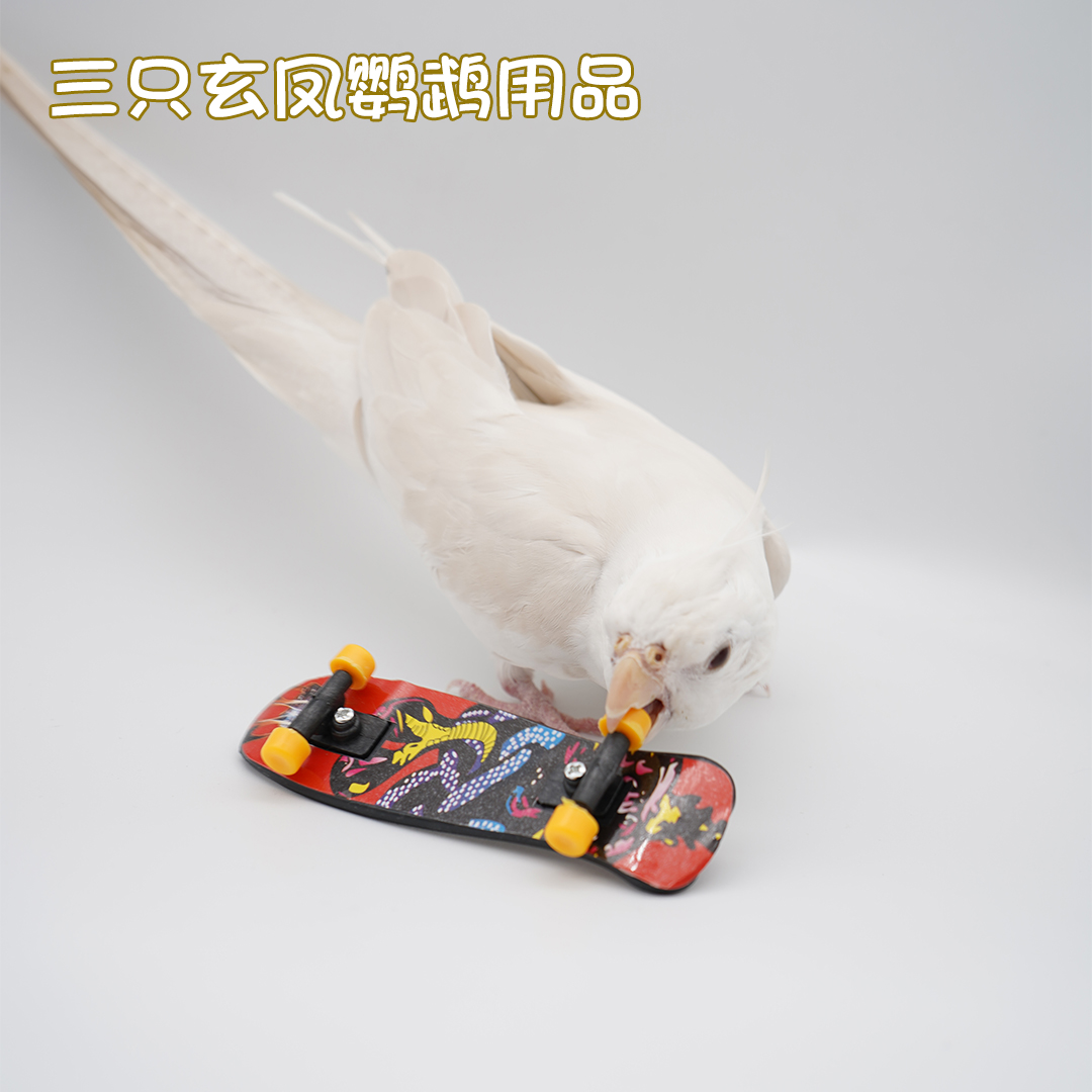 Pet parrot bird uses toy scooter for exercise training, interactive educational bird supplies, photo props, free shipping