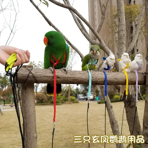 Подтяжки для выхода на улицу для тренировок, сверхлегкая барсетка с поводком