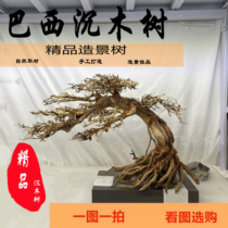 Fish Tank Building Landscape Slumwood Brazil Sink Wood Trees Moss Tree Cuckoo Roots Aquatic Decoration Trees Skeletons Forest Root Branches)