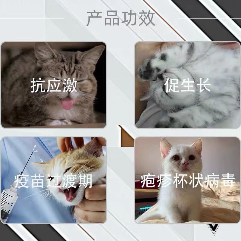 博莱得利猫转移因子猫免疫因子口服液猫咪增强免疫力抗病毒博莱宠-图2