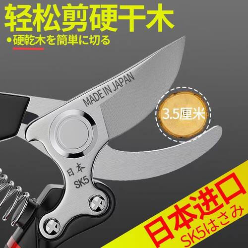 日本爆款原装进口修枝剪园艺剪树枝专用花木剪刀果树修剪神器优选 - 图0