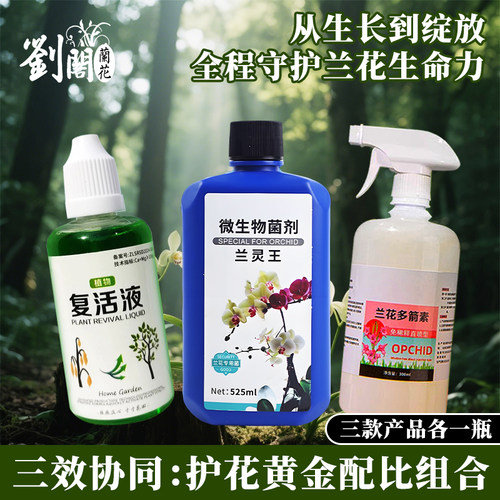 兰花苗兰科花卉通用营养土 透气花盆 石斛兰蝴蝶兰植物营养液肥料 - 图3