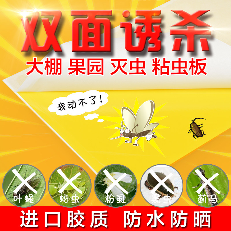 进口胶黄色蓝色粘虫板黄板诱虫板双面小黑飞环保长效防水全国包邮