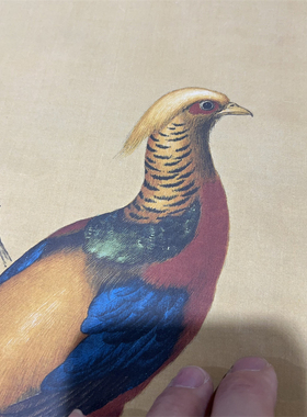 郎世宁-锦春图 仿古名家字画国画艺术微喷复制品挂轴画客厅装饰画