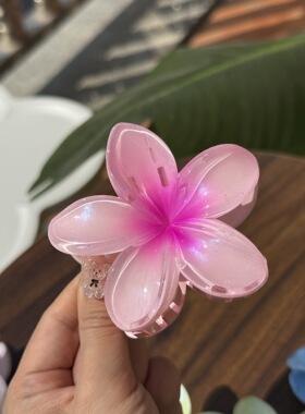 新款春夏鸡蛋花果冻感发抓清新甜美高马尾发夹可爱精致小花发饰女