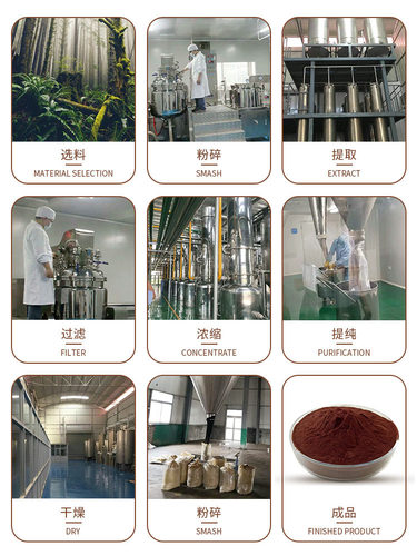 品质保证 法半夏提取物 半夏提取浓缩精华产物 SC工厂热销 - 图3