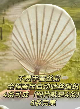 竹制团扇骨架编织DIY半成品