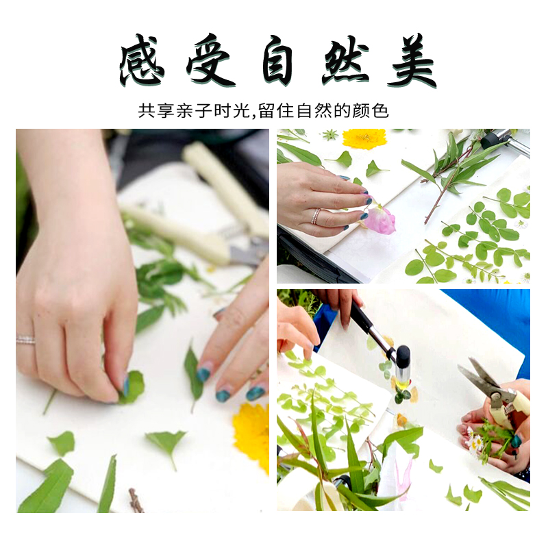 植物敲拓染衣服手工diy材料包儿童树叶拓印工具套装印染扎染白T恤 - 图1