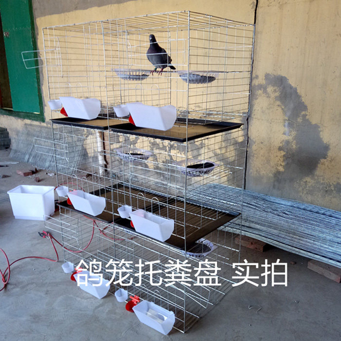 [限时优惠]鸽笼托粪盘鸽用屎盘鸽子承粪盘鸽用接屎盘鸽塑料接粪盘,淘宝优惠券,粉丝福利购,淘宝优惠卷