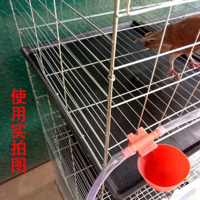 [限时优惠]鸽笼托粪盘鸽用屎盘鸽子承粪盘鸽用接屎盘鸽塑料接粪盘,淘宝优惠券,粉丝福利购,淘宝优惠卷