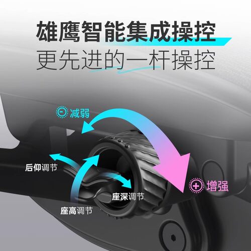 保友金卓B雄鹰高配版人体工学椅子电脑办公职员护腰透气网椅 - 图2