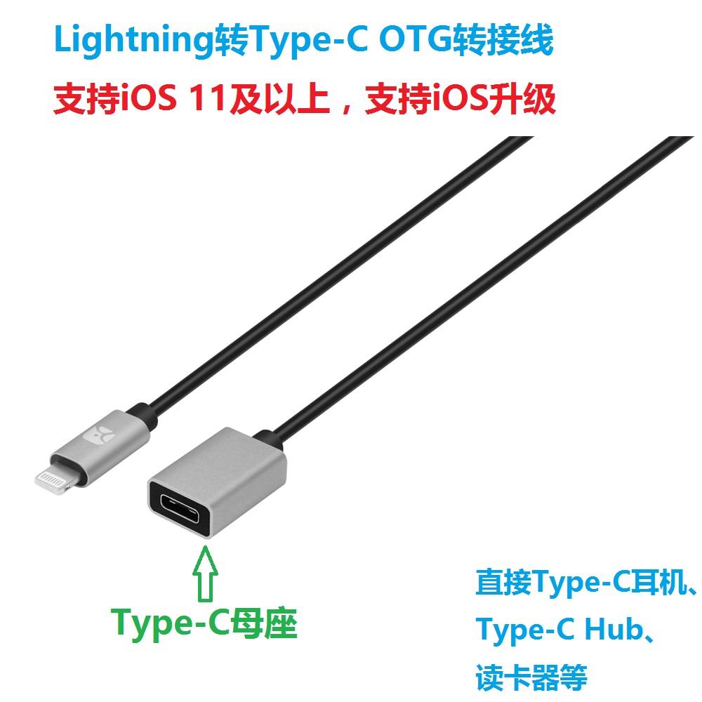 Lightning转Type-C扩展坞适用iPhone11iPad苹果iOS13读卡器U盘14 - 图0