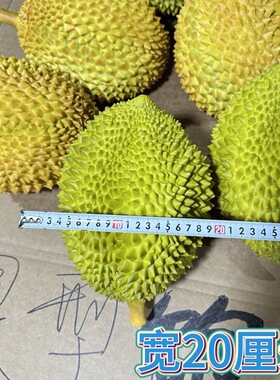 仿真榴莲模型套圈道具假榴莲装饰