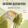 Does your bird’s head also feel itchy?