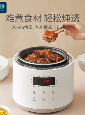 110V伏电高压力锅2.5L升出口美国加拿大日本出国小家电迷你电饭煲