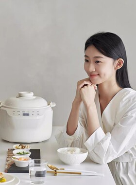 110-220V陶瓷电饭煲3-6人微压饭锅 美规英规欧规出口现货