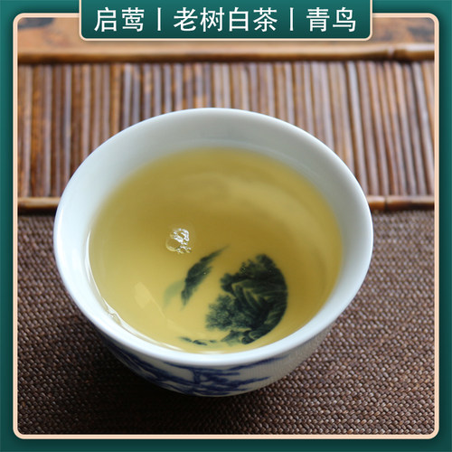 【启莺】云南老树白茶 【青鸟】2024年头春白莺山核心产花香高扬 - 图2