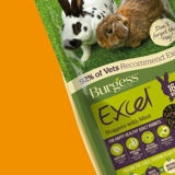 Британский Burgess, Bugs Mint с высоким содержанием волокон, взрослый кролик зерновое зерновое зерновое питание корм для кролика 1,5 кг