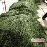 Сушная пшеница травяная трава кролик Тоторо Тоторо Голландская свинина Федеральная пшеничная пшеница утренняя трава модель 1 кг бесплатная доставка