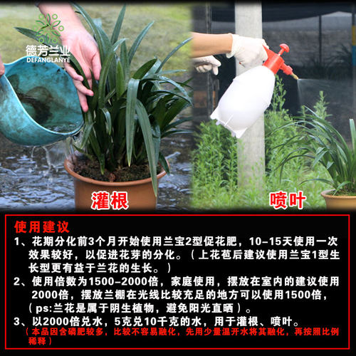 德芳兰园 兰花苗四季兰草花卉植物盆栽通用兰宝2型促花肥水溶肥 - 图2