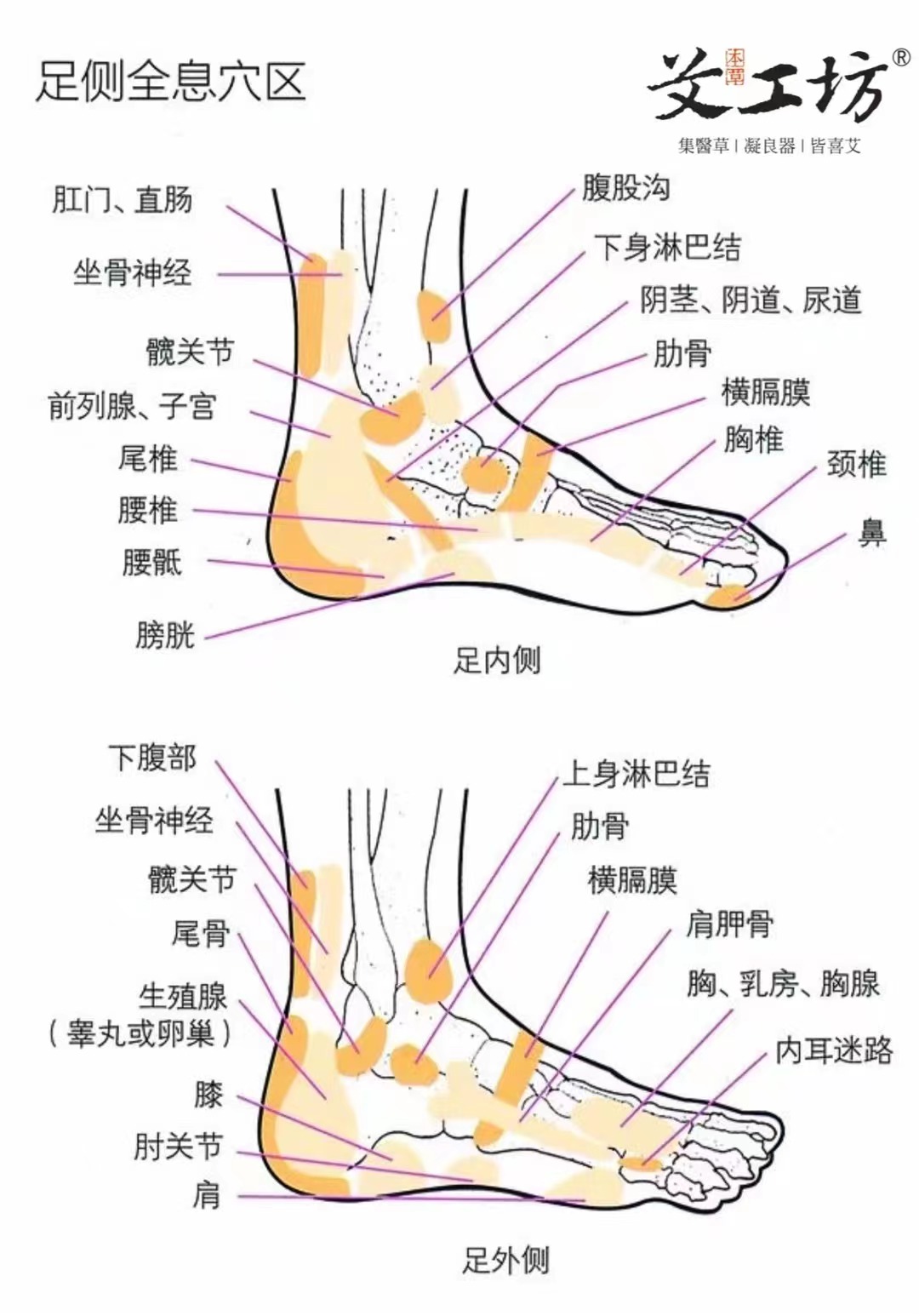 【艾工坊】泡脚粉独立装中药艾叶艾草泡脚足疗包祛湿驱寒保健调理 - 图2