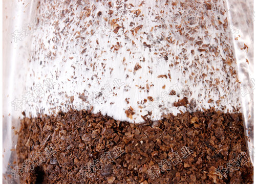 食用菌平菇菌种子菌包菌棒栽培种香菇木三级种农产品厂家自制 - 图1