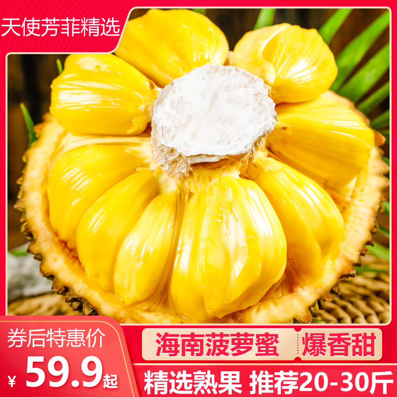 天使芳菲旗舰店天使芳菲 海南三亚菠萝蜜一整个13-35斤包邮波罗蜜水果批发当季0