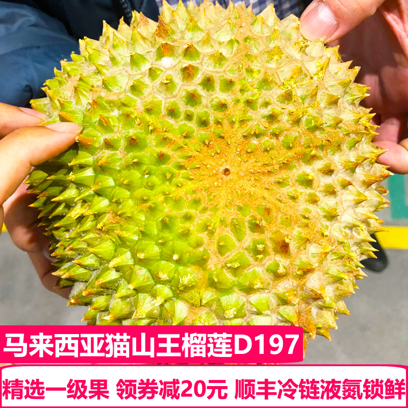 天使芳菲旗舰店天使芳菲 马来西亚猫山王榴莲D197液氮冷冻整果带壳榴莲树上熟1
