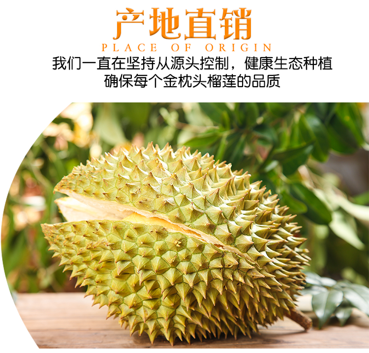 天使芳菲旗舰店天使芳菲 泰国金枕头榴莲新鲜带壳榴莲热带水果现摘包邮巴掌榴莲3